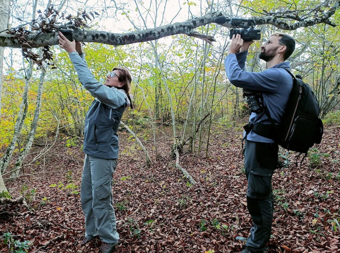 installation-piege-photo-séjour-loup