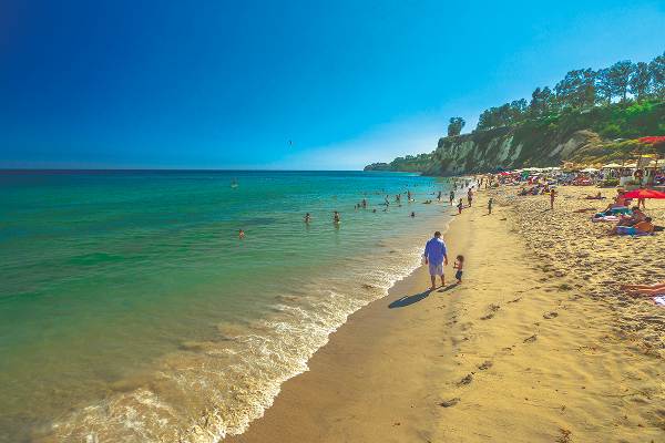 Paradise Cove : Point de départ de la vague Beach Boys