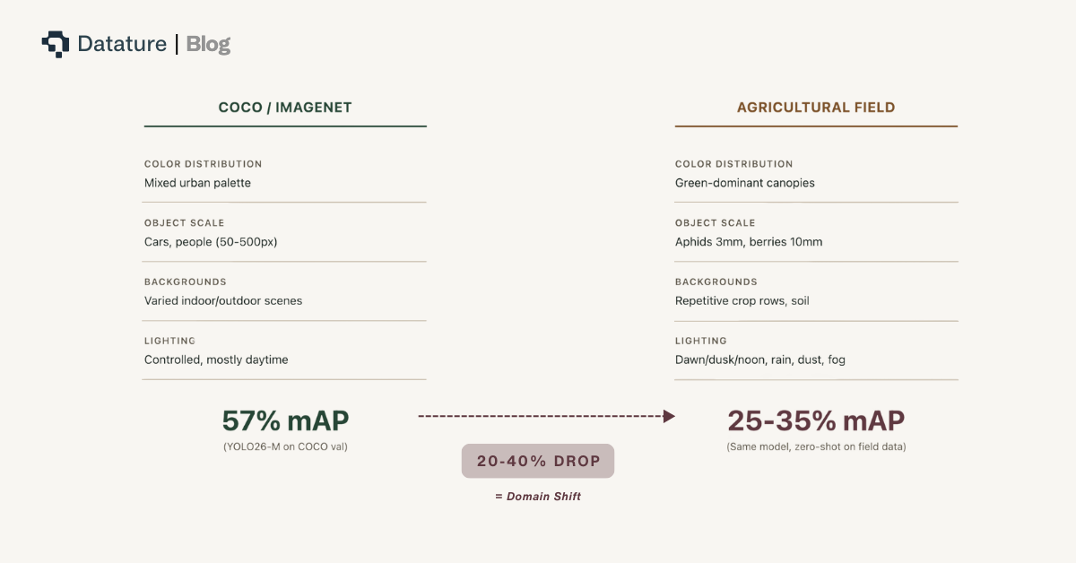 Domain shift between benchmark datasets and agricultural field imagery causes 20-40% accuracy degradation in pretrained models.