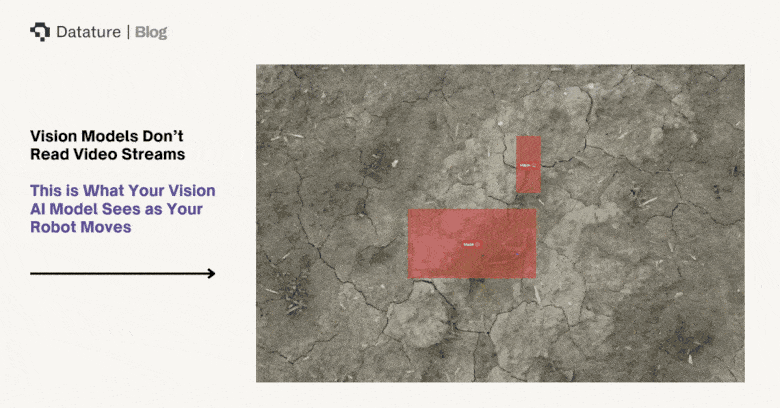 Video Showing How Vision Models Break Inference into Frames