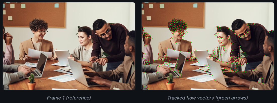 CalcOpticalFlow Example