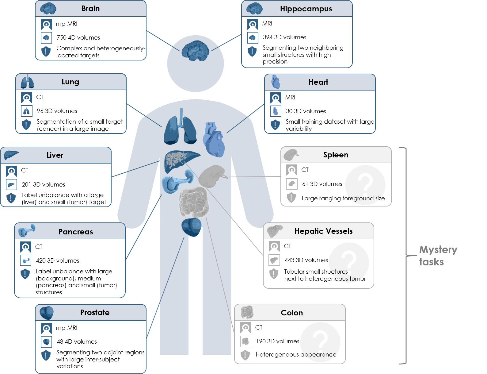 Overview of medical segmentation tasks across organs including brain, lung, liver, and pancreas