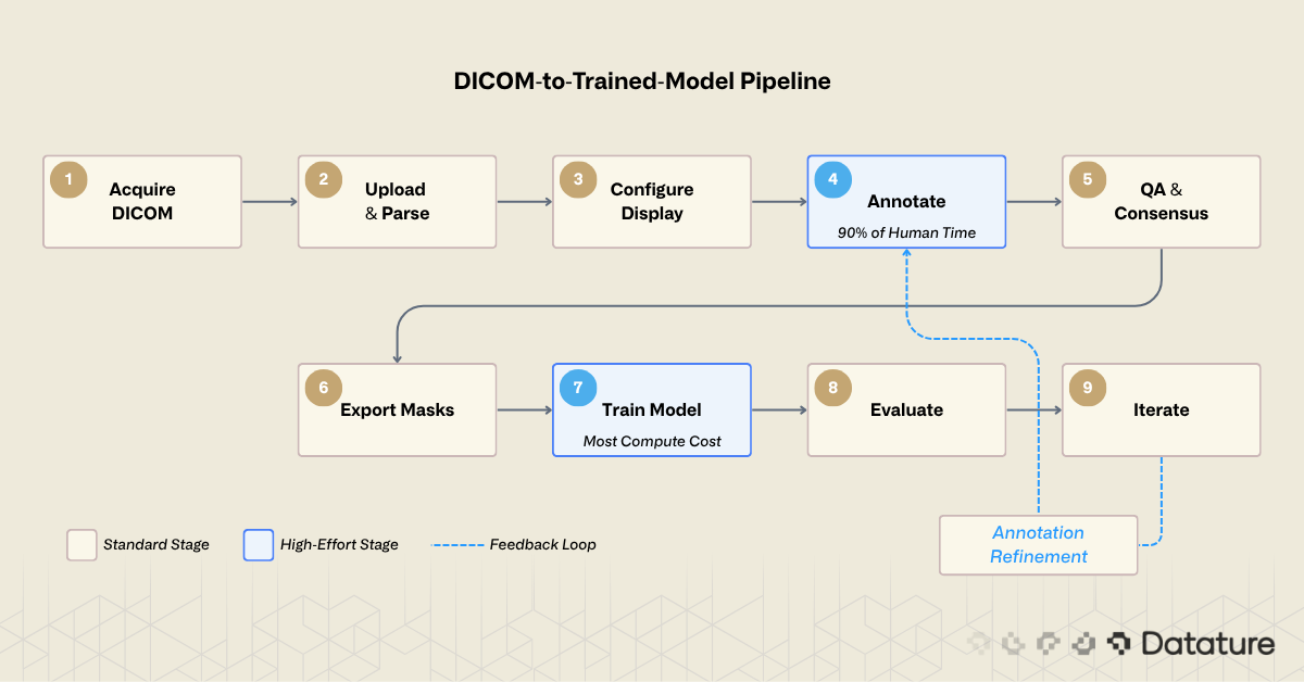 DICOM-to-trained-model pipeline showing steps from acquisition and annotation to training and deployment