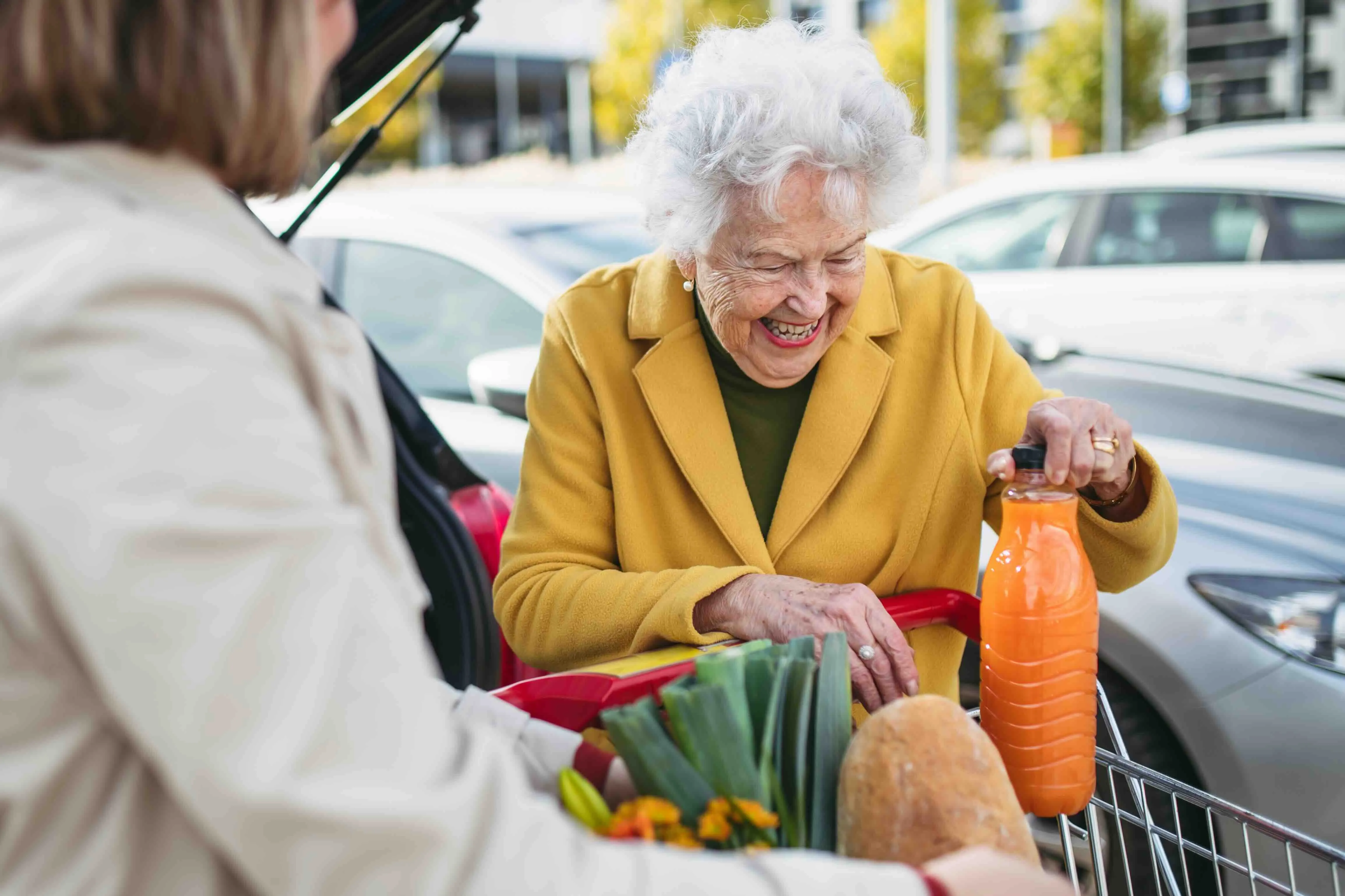 Caregiver helping senior woman with groceries—showing how a family calendar app and shared schedule tool can coordinate daily tasks like shopping.
