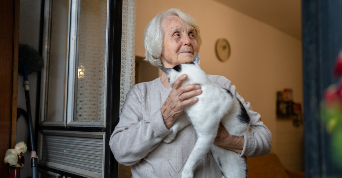 An elderly woman with white hair tenderly holds a black and white cat against her chest while gazing thoughtfully toward a window, standing in the warm doorway of her home — a peaceful moment of connection between a senior and her feline companion.