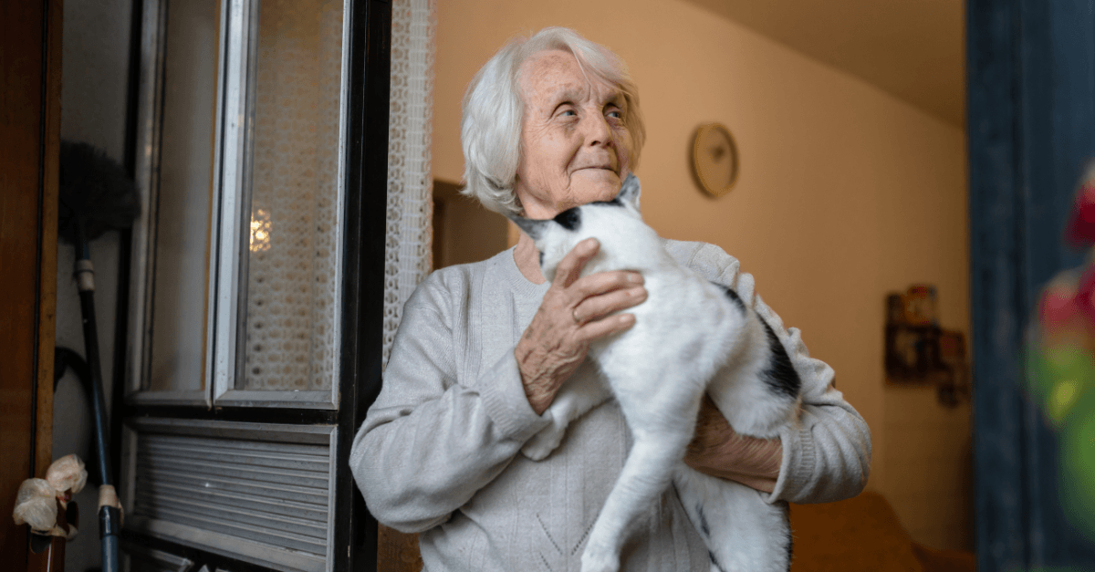 An elderly woman with white hair tenderly holds a black and white cat against her chest while gazing thoughtfully toward a window, standing in the warm doorway of her home — a peaceful moment of connection between a senior and her feline companion.