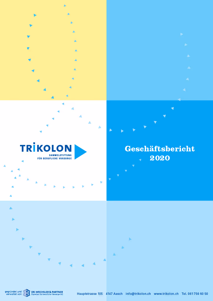 Geschäftsbericht 2020