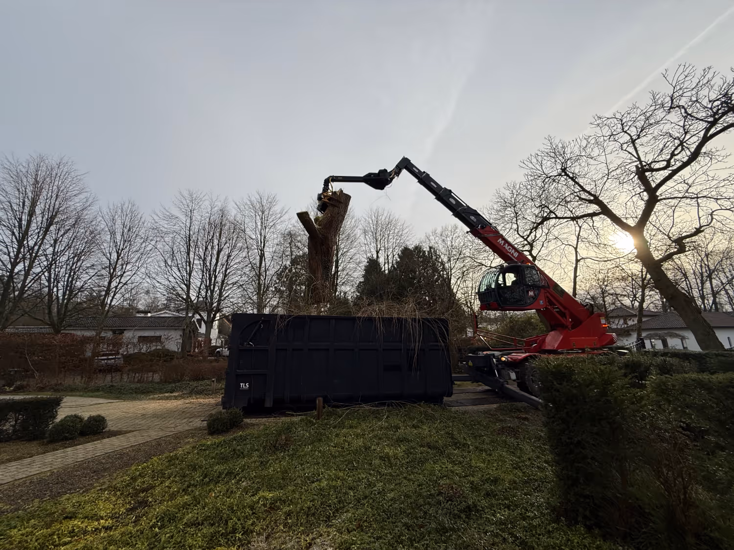 Een rode kraan verwijdert een grote boomstronk en plaatst deze in een zwarte afvalcontainer in een woonwijk. Kale bomen en een zachte zon creëren een rustige winterse sfeer.