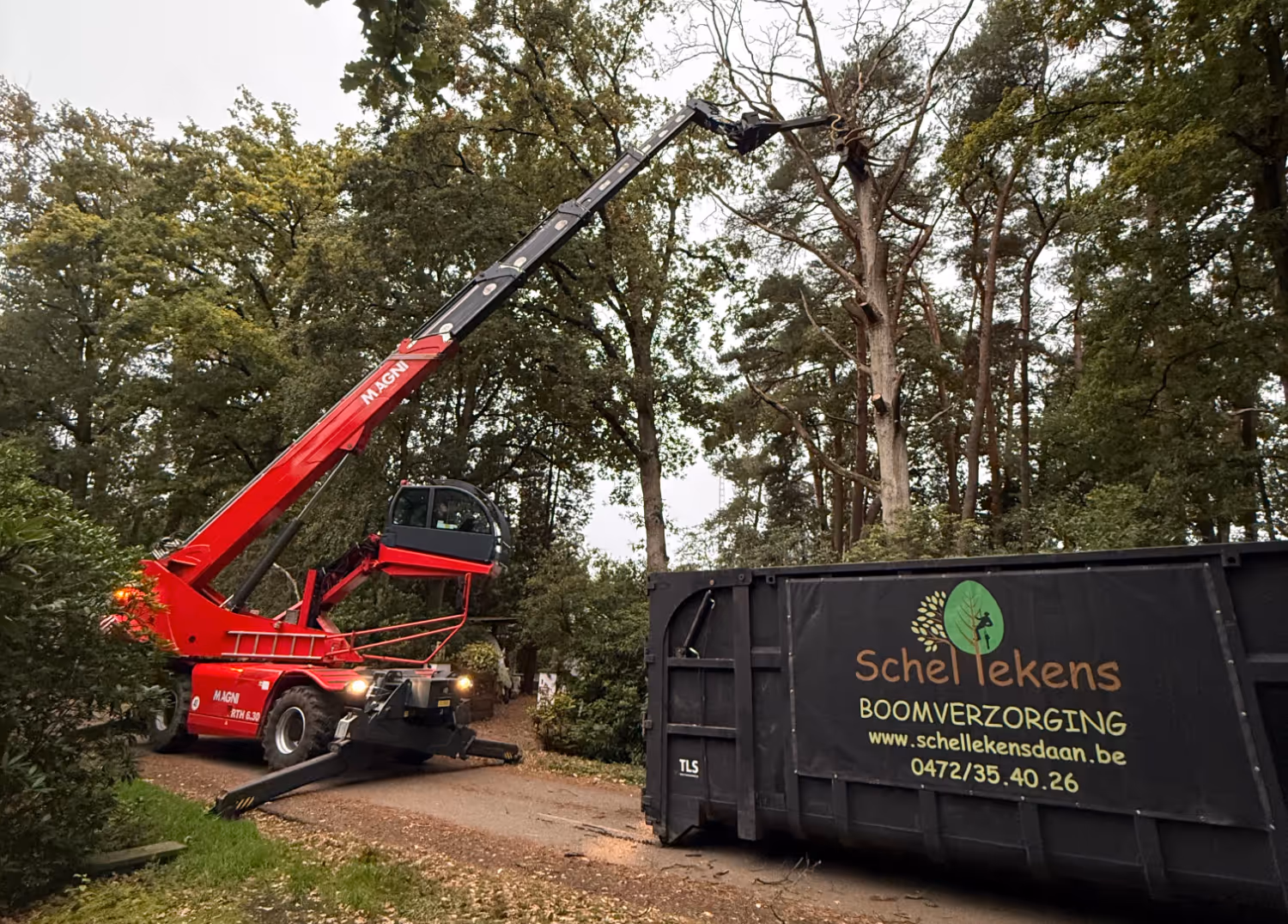 Een rode kraan snijdt takken van bomen langs een weg, met een grote zwarte container in de buurt met de naam “Schellekens Boomverzorging”. De scène wordt omringd door dichte bomen, wat een professionele boomverzorgingsomgeving uitstraalt.