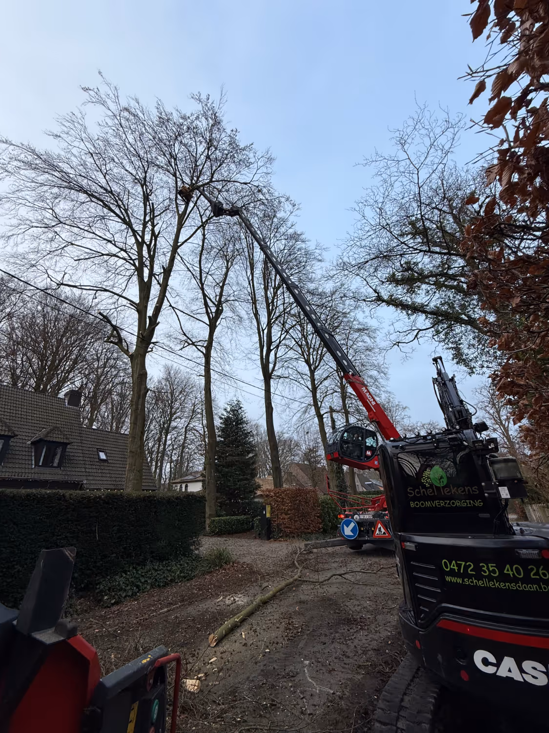Op een bewolkte dag snoeit een kraan hoge bomen naast een huis. De scène straalt een gevoel van zorgvuldig onderhoud uit, met takken op de grond.