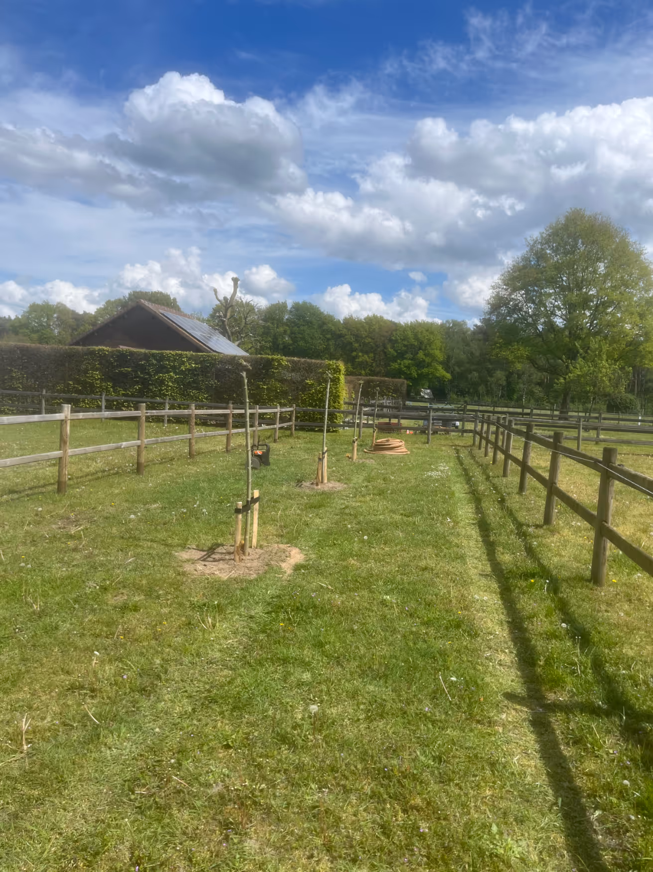 Een zonnig landelijk tafereel met een met gras begroeid pad omzoomd door houten hekken en jonge bomen die met stokken worden ondersteund. Op de achtergrond zijn een klein gebouw en groen gebladerte zichtbaar onder een gedeeltelijk bewolkte hemel.