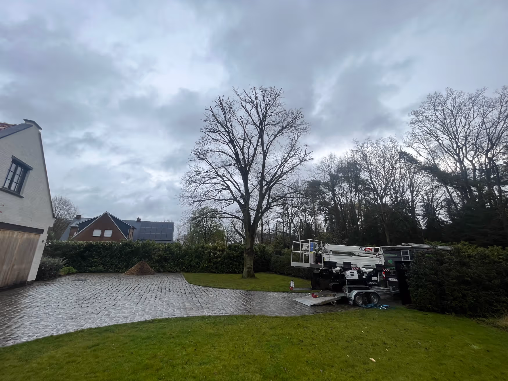 Bewolkte lucht boven een kale boom in een tuin bij een woonhuis, met een hoogwerker in de buurt. De stenen oprit en het groene gazon zorgen voor een rustige, winterse sfeer.