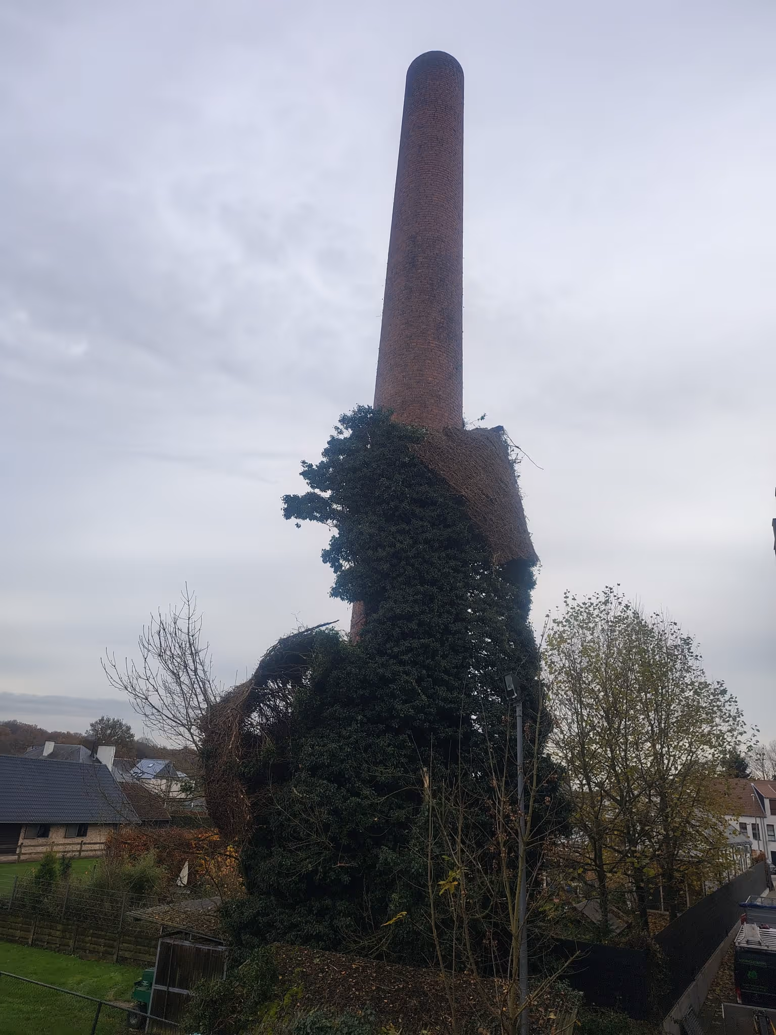 Een hoge bakstenen schoorsteen staat bedekt met dichtgroeiende klimop onder een bewolkte hemel, met kale bomen en huizen in de verte op de achtergrond, wat een serene, door de natuur teruggewonnen scène oproept.