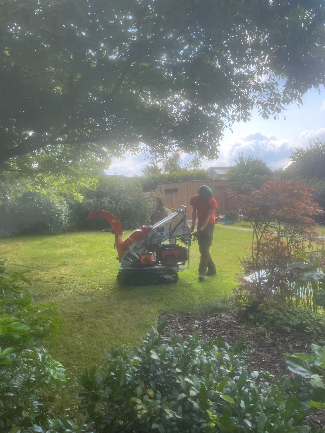 Een persoon in beschermende kleding bedient een rode houtversnipperaar op een zonnige dag in een weelderige tuin, omringd door groene bomen en een houten schuur op de achtergrond.