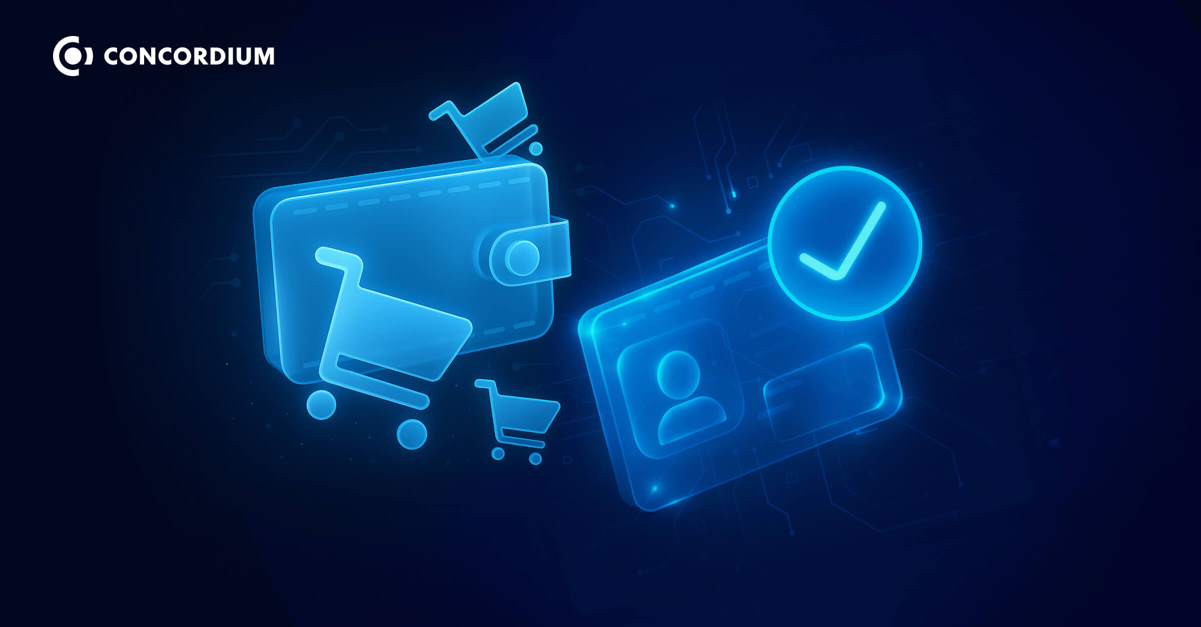 Verified Wallets and ZKP Identity to Anchor Digital Finance