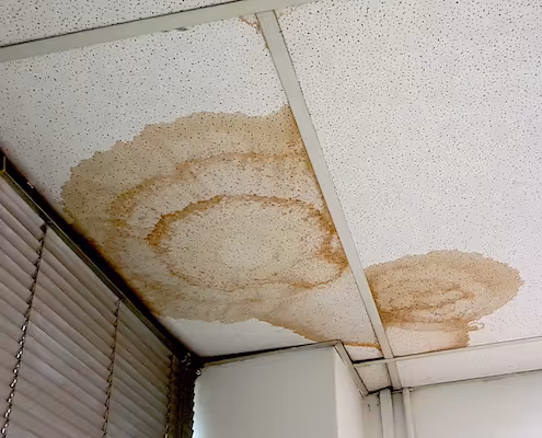 Mould in Ceiling causing Water Seepage