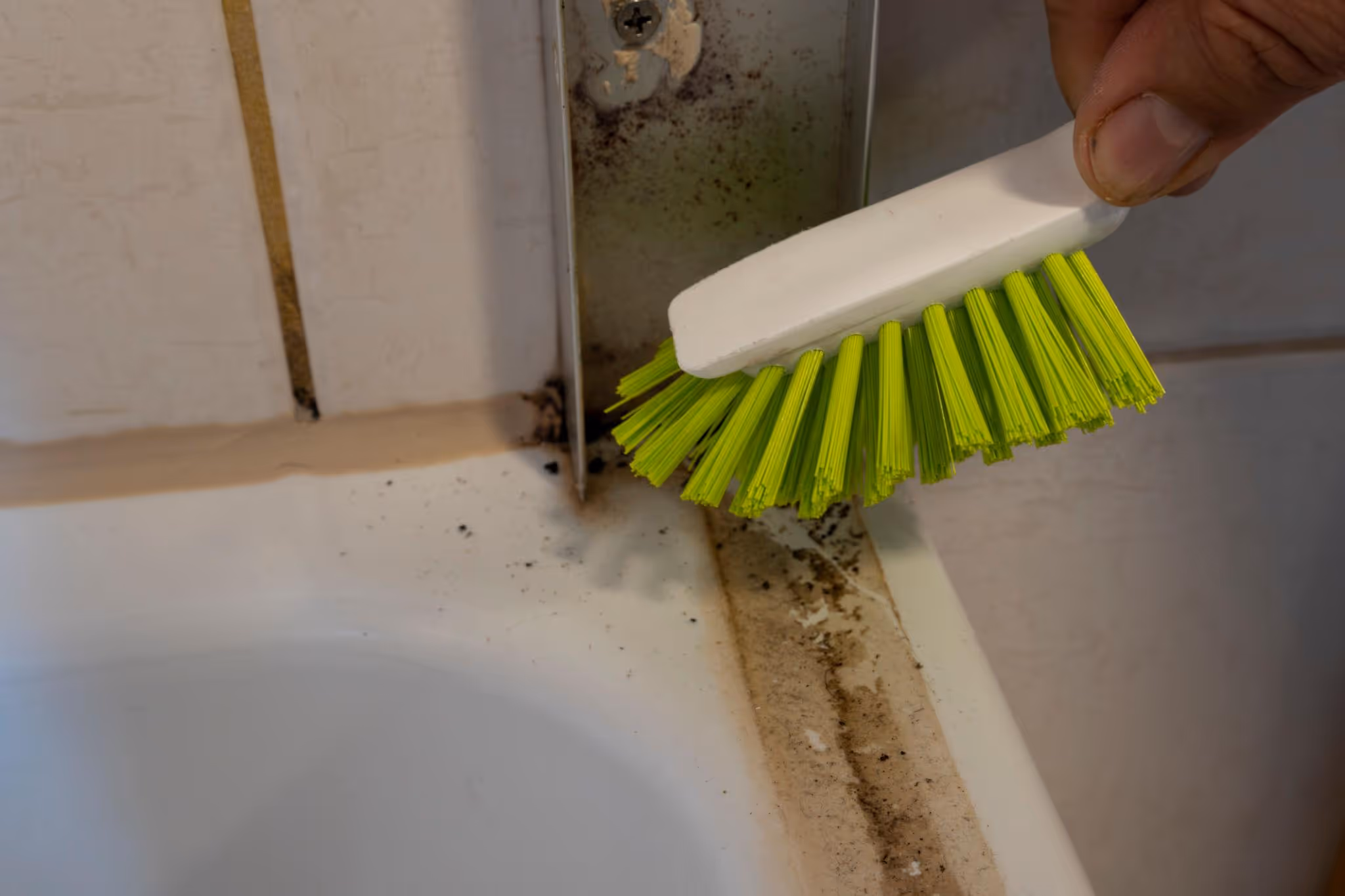 Scrubbing Black Mould on Grout