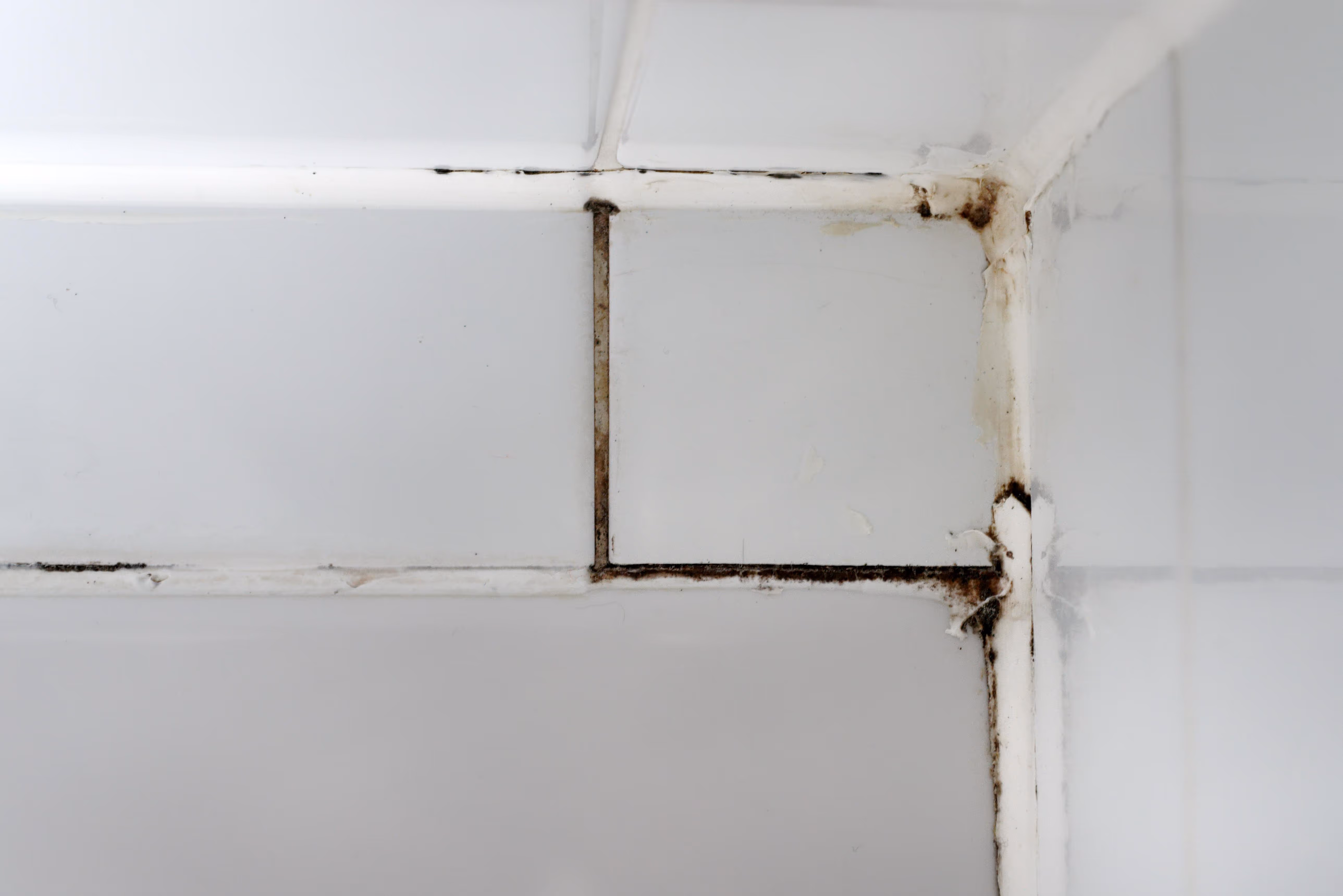 Black Mould on Grout