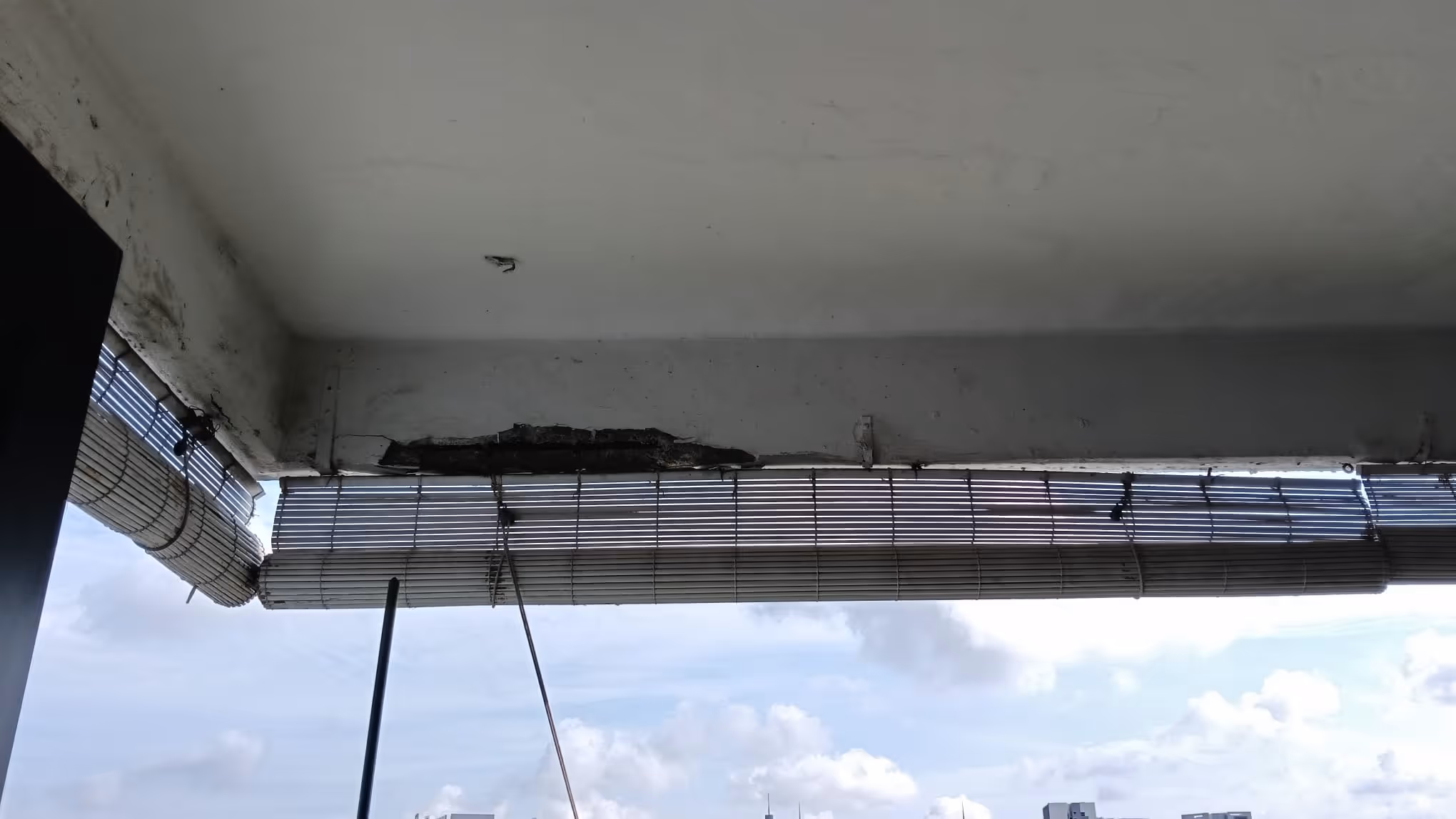 Black Mould on Grout