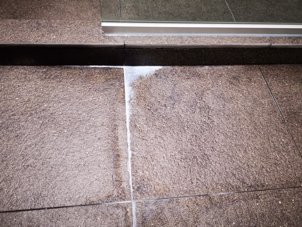 Black Mould on Grout