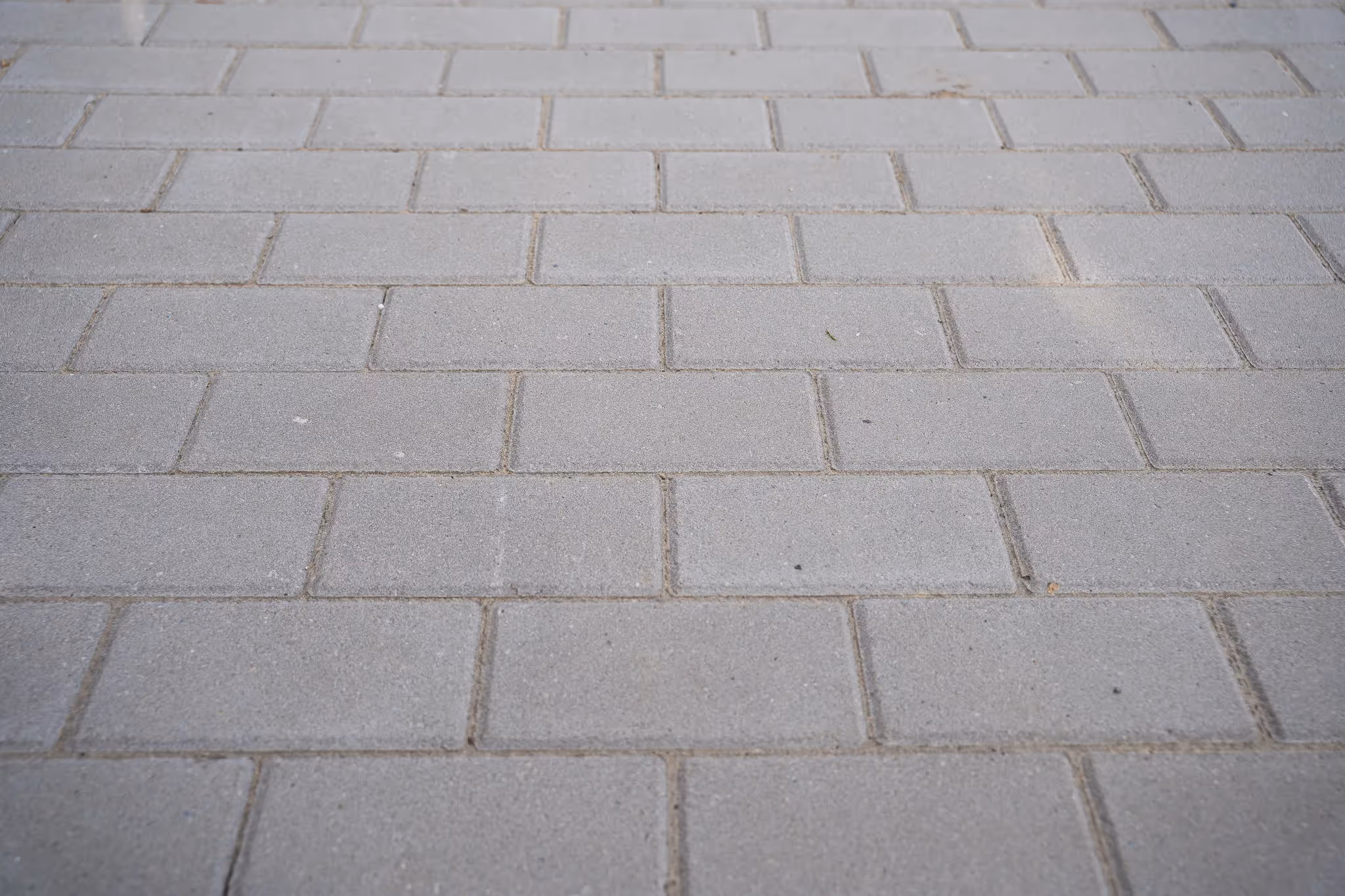 Graue Betonpflastersteine in Reihen verlegt auf einem Gehweg.
