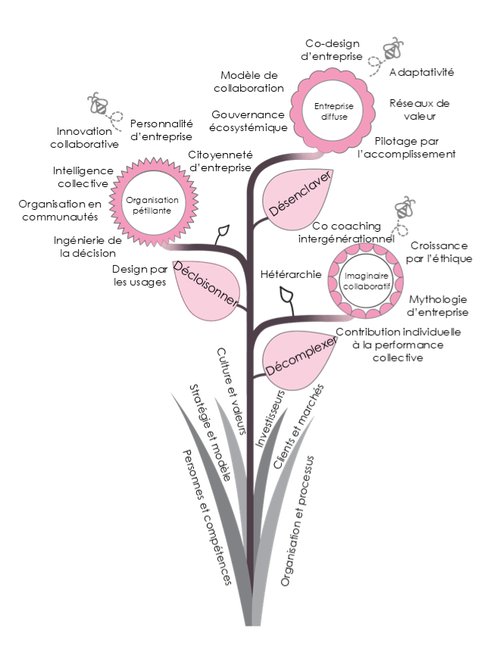 Un fleur qui traduit les différents univers de Blooming Partners