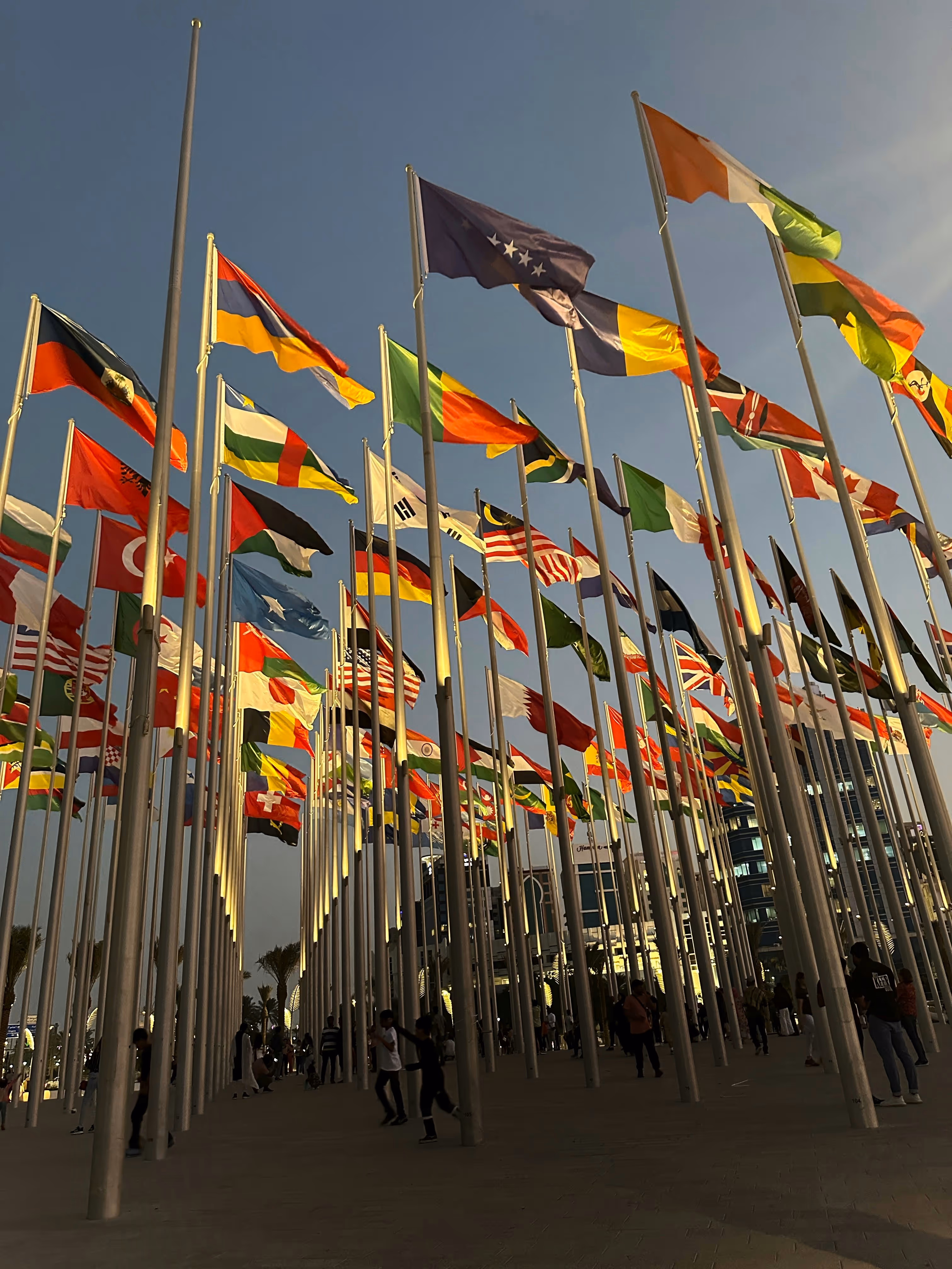Numerous international flags flying on tall poles at dusk with people walking below.