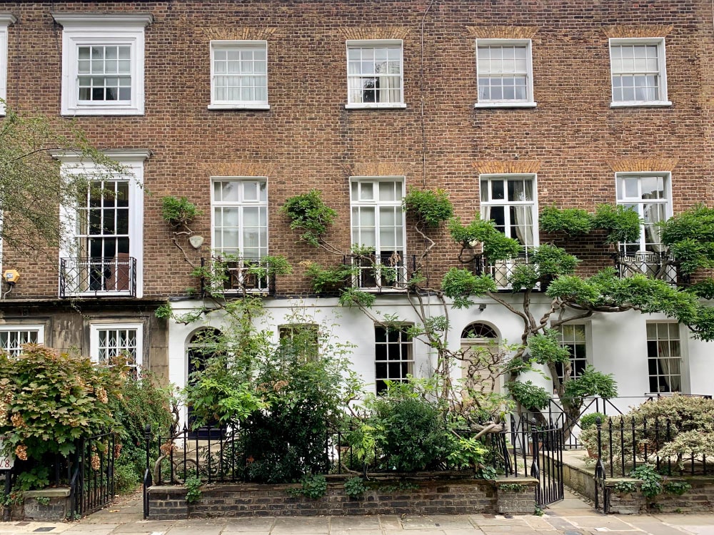 Charming georgian house in kensington london with climbing wisteria tree