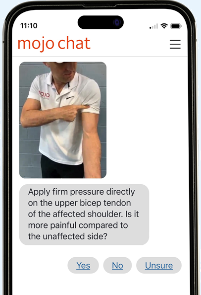 Mojo Chat app answering pain questions