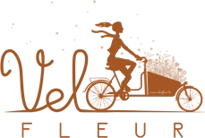 Logo Velofleur