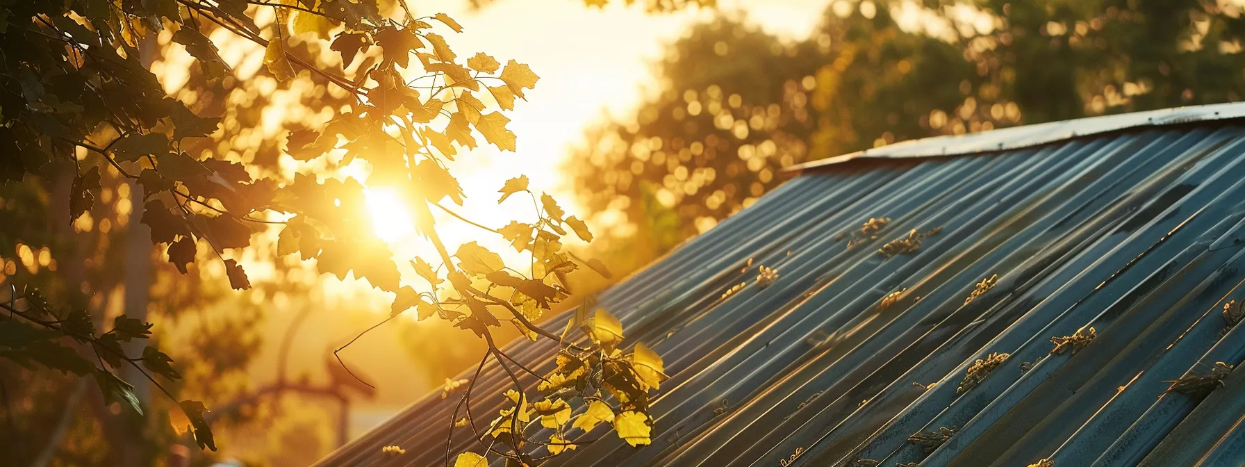 a photo of a sturdy, weather-resistant metal roof shining under the sunlight in tampa, showcasing its durability during hurricanes and energy efficiency benefits.