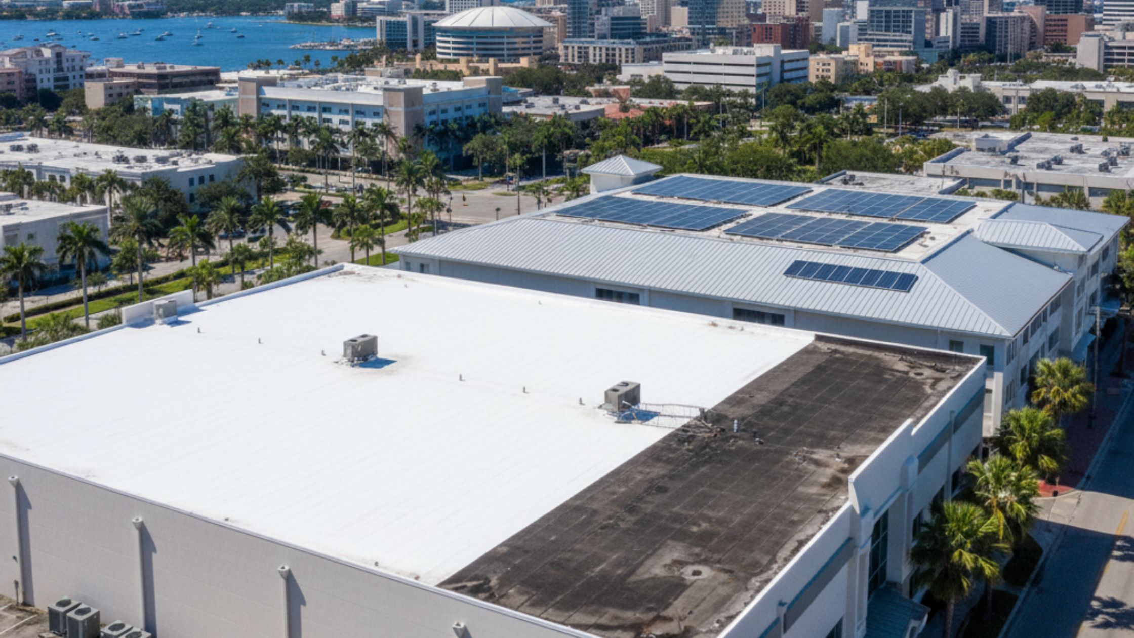 How Can Tampa Businesses Reduce Energy Bills with Reflective or Cool Commercial Roofing Systems?