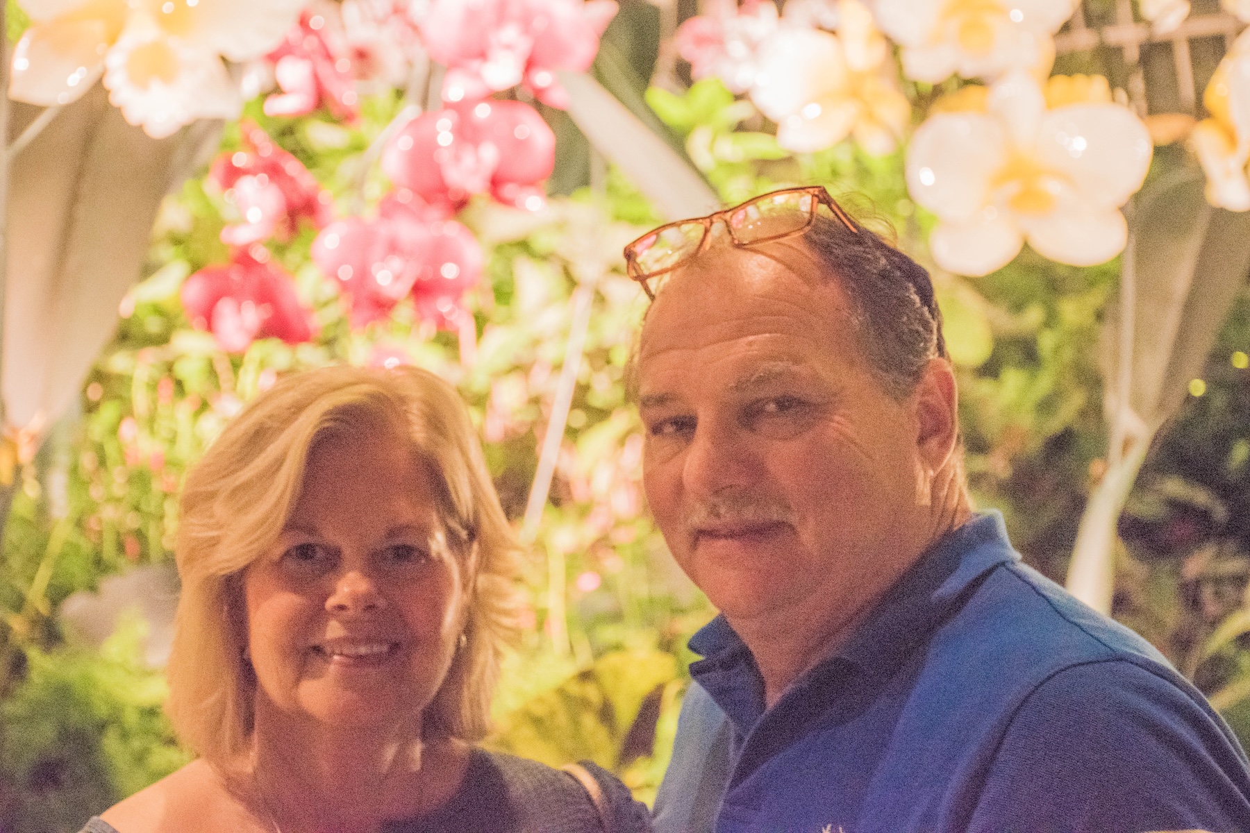 Ed & Tonna Watson - Australian Labradoodles bred in Washington, North Carolina