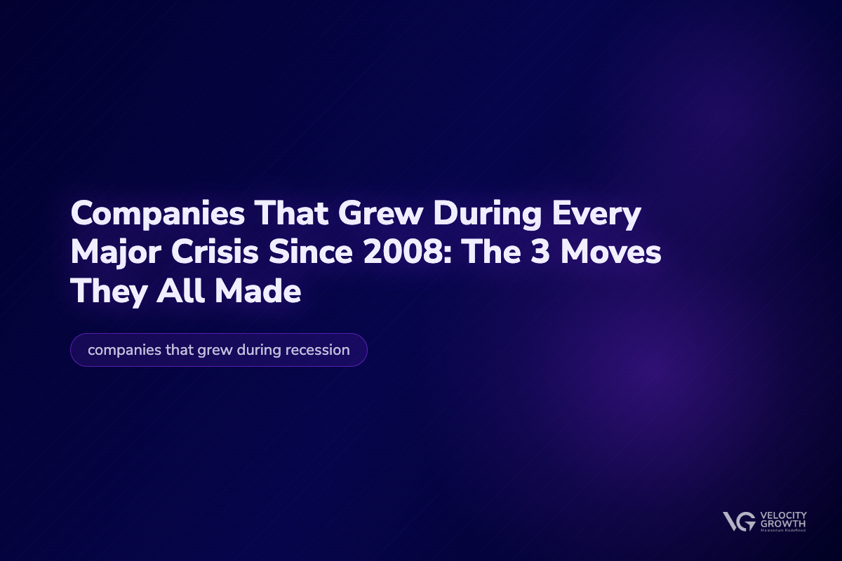 Companies That Grew During Every Major Crisis Since 2008 — Velocity Growth