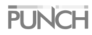 Punch logo