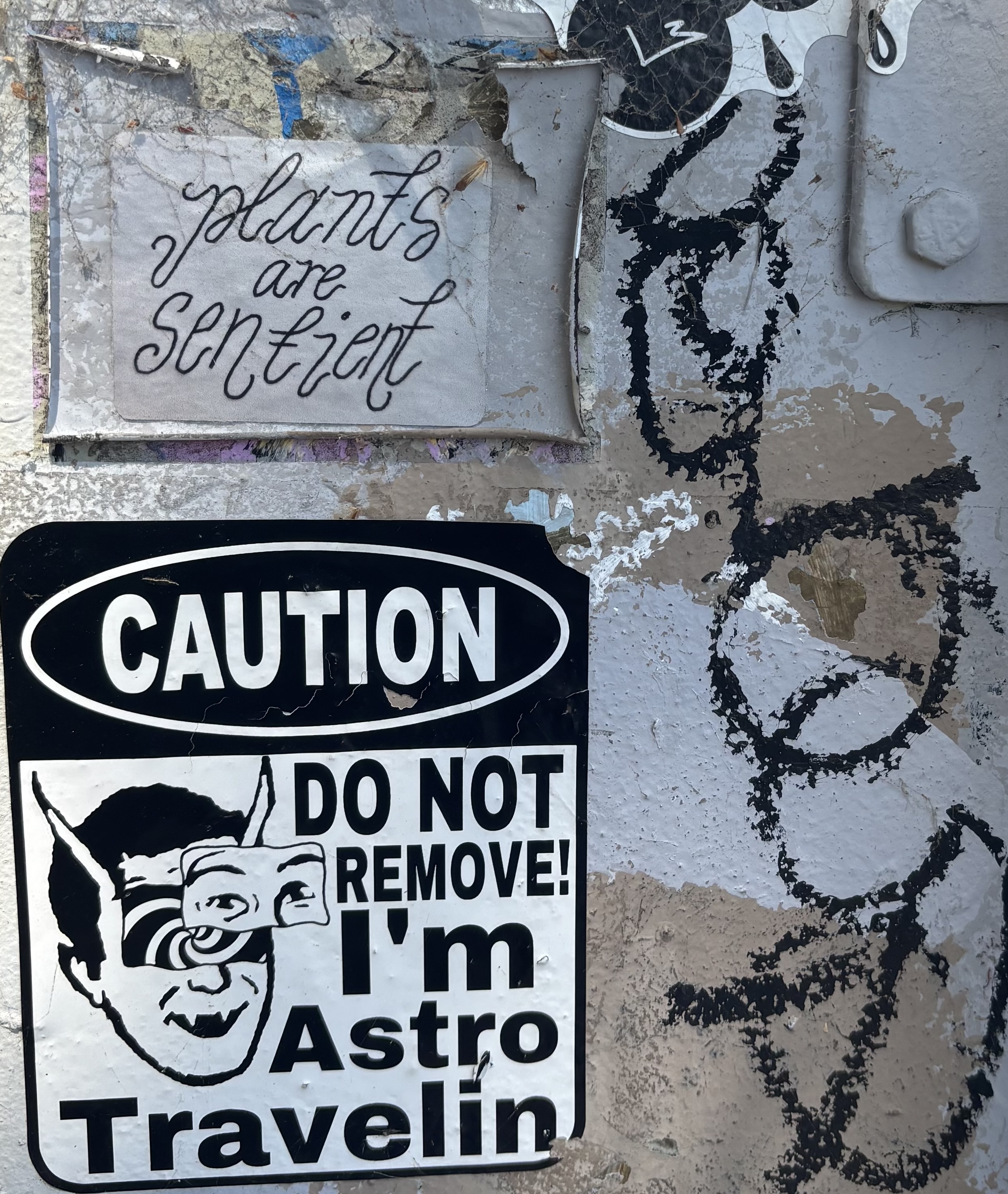 Image of a sticker mounted to a graffitied electrical box that says "CAUTION: DO NOT REMOVE I'M ASTRO TRAVELIN'"