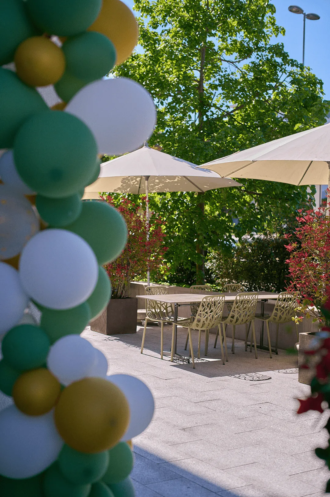 Zur Linde Rotkreuz Terrasse