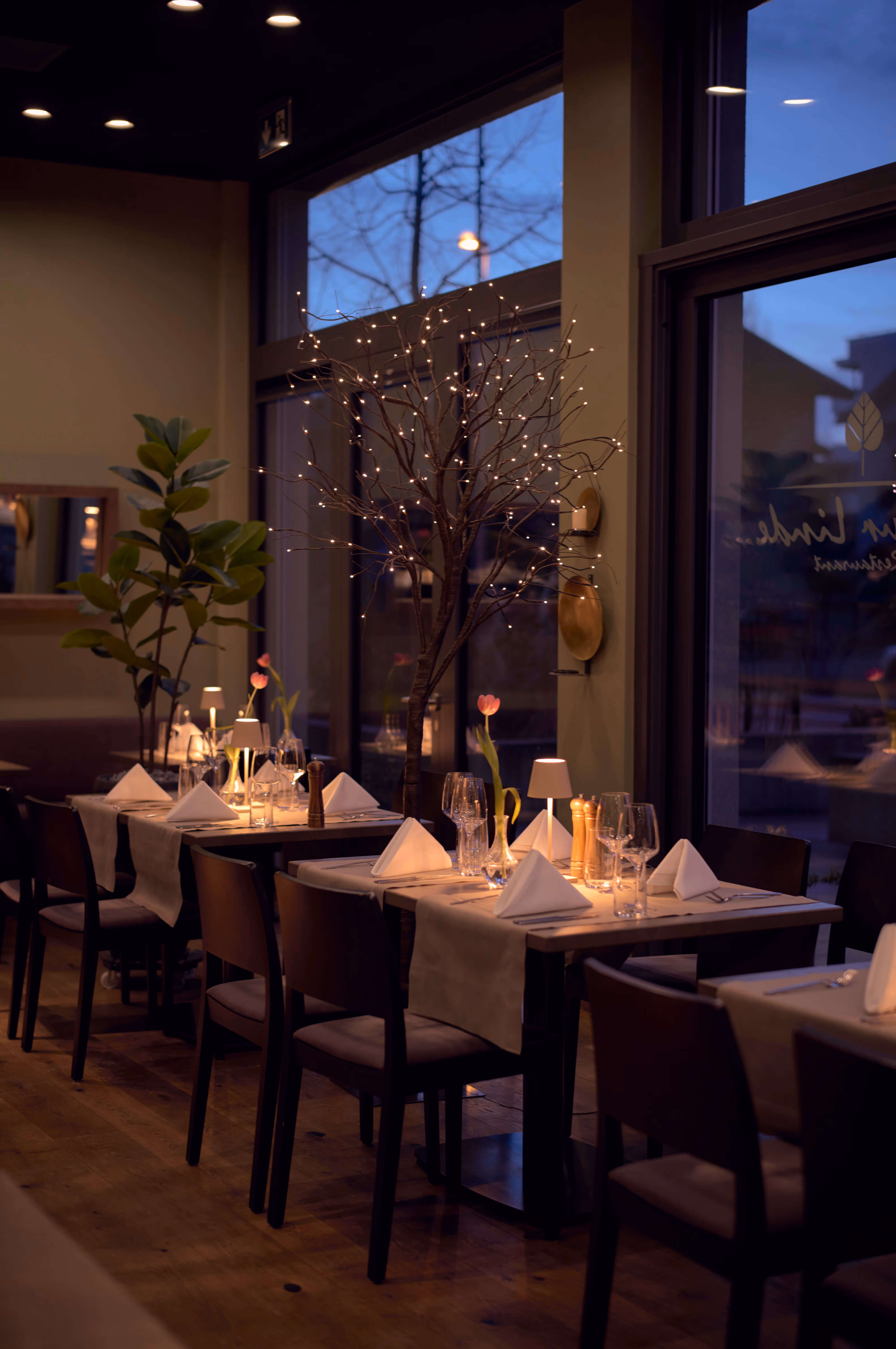 Zur Linde Rotkreuz Biergarten