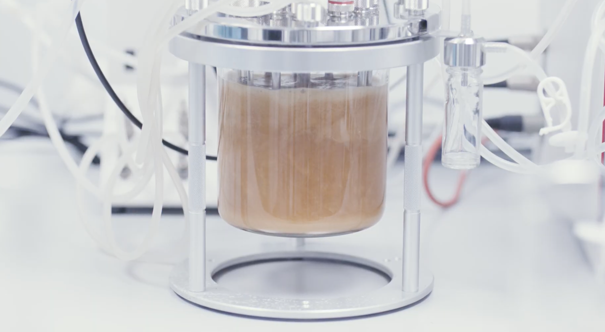 Why we doubled down on Epoch Biodesign