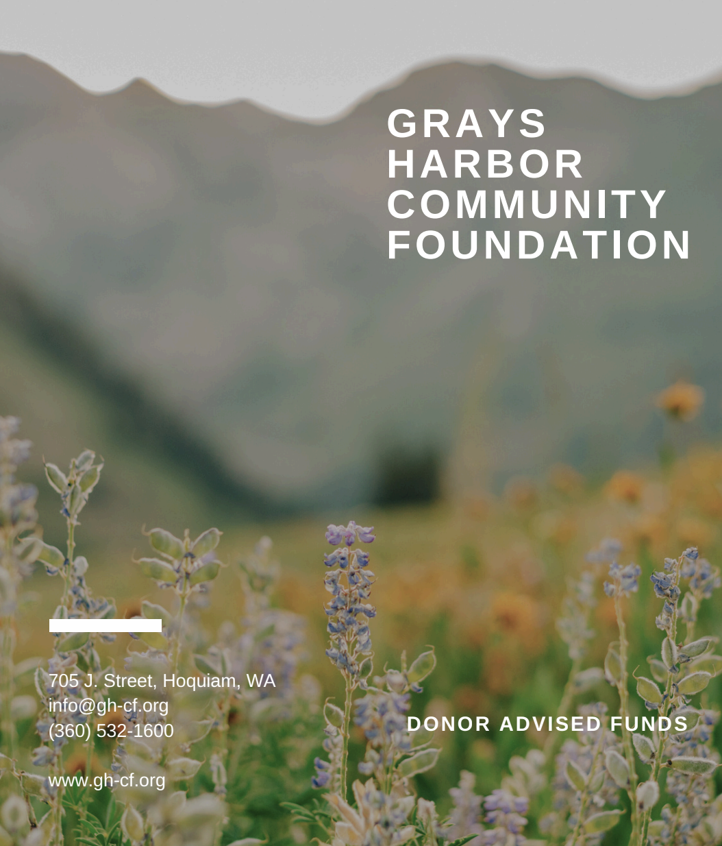 Guidelines for Donor Advised Funds