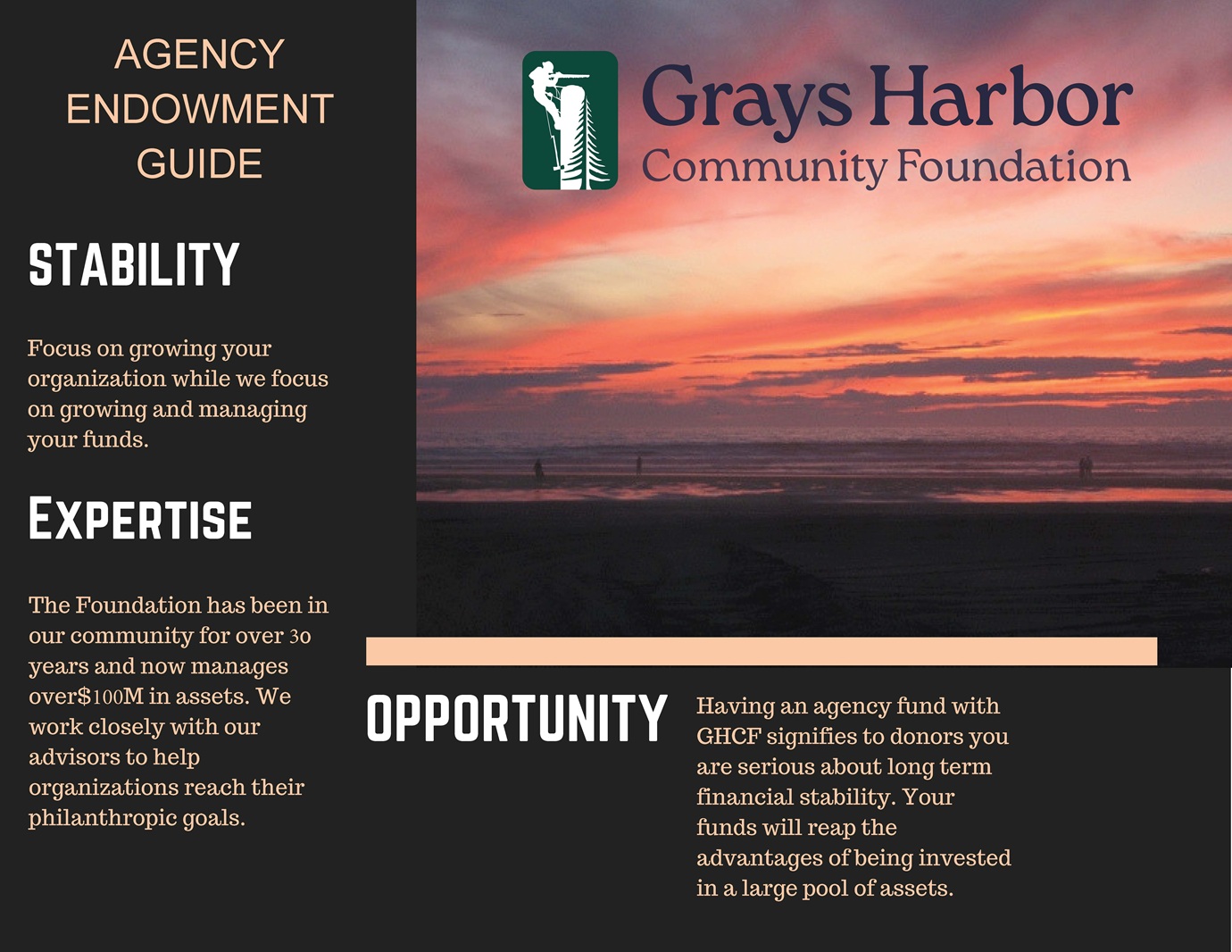 Agency Endowment Fund Brochure