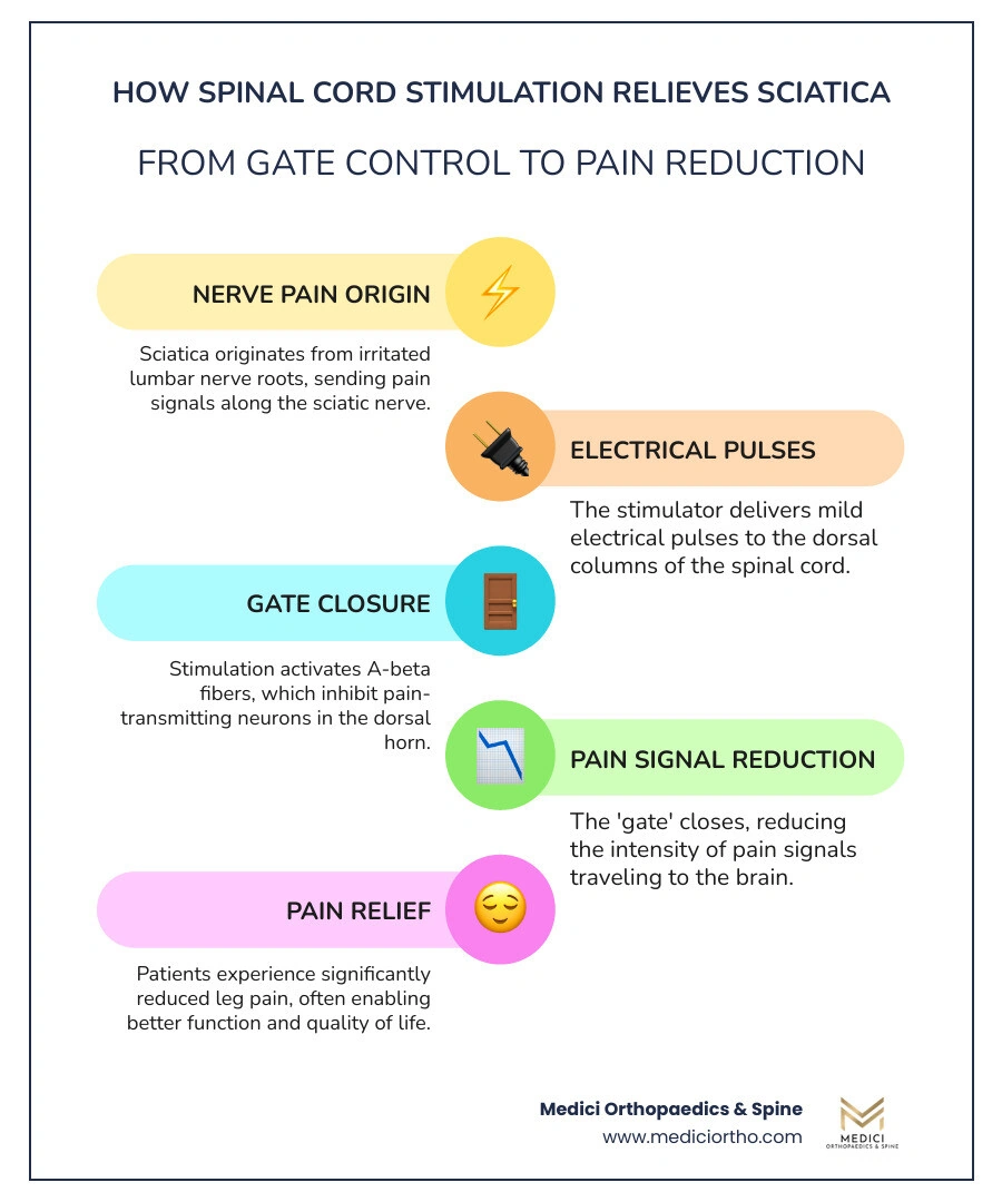 Sciatica pain relief options and when to consider a spinal cord stimulator trial infographic Sciatica pain relief options and when to consider a spinal cord stimulator trial infographic