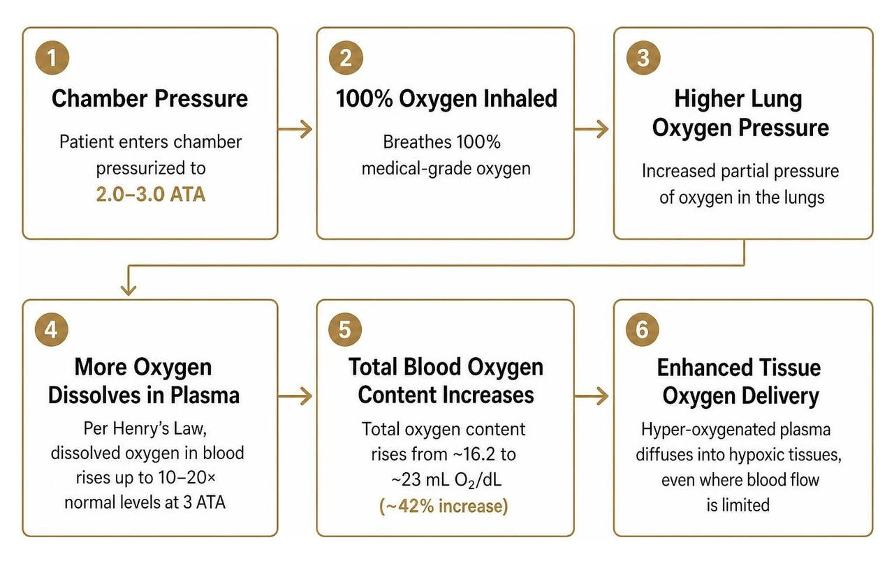 Step-by-step mechanism of hyperbaric oxygen delivery from chamber pressure to plasma saturation