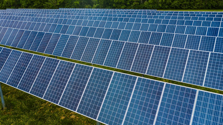 A vibrant solar farm showcasing rows of photovoltaic panels capturing energy.