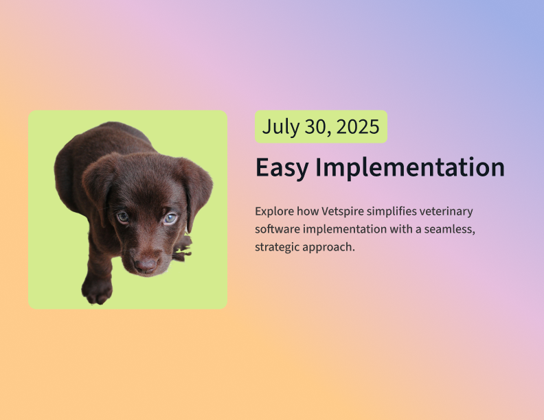 Vetspire implementation