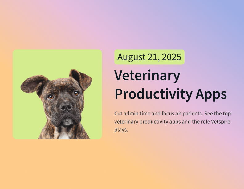 Veterinarian Productivity Apps 