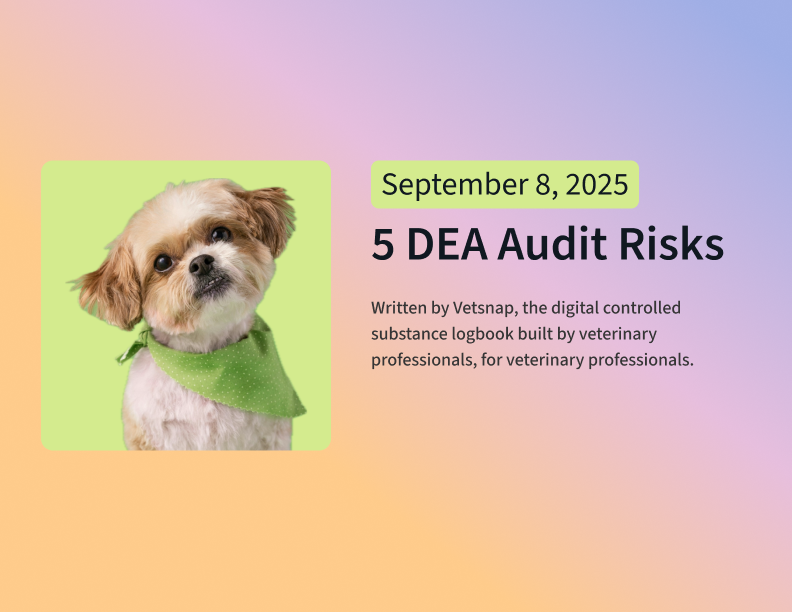5 DEA Audit Risks from VetSnap