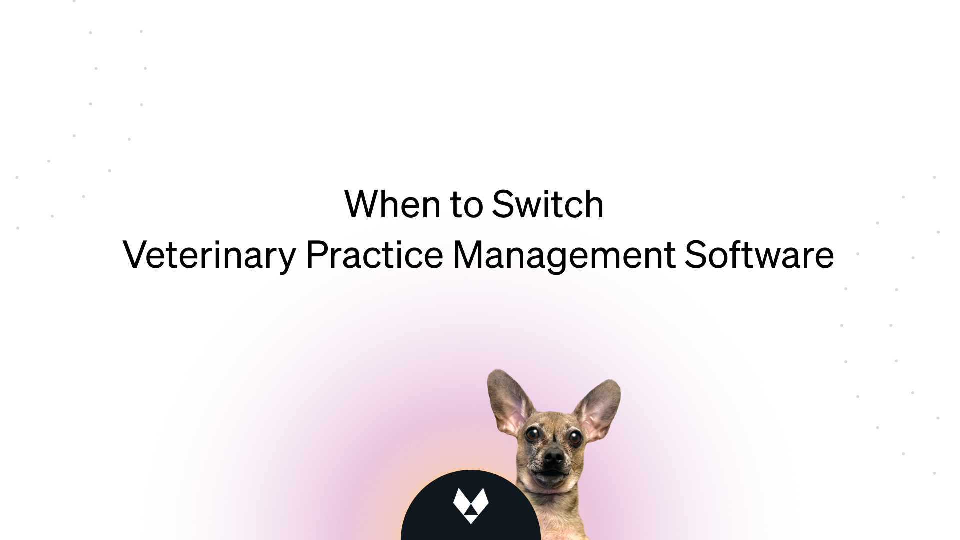 Blog cover titled "When to Switch Veterinary Practice Management Software" with a tan Chihuahua and a brand logo.