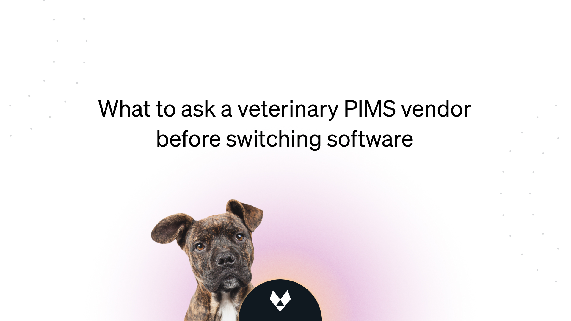 Title graphic reading “What to ask a veterinary PIMS vendor before switching software,” with a brindle dog pictured against a pale pink background.