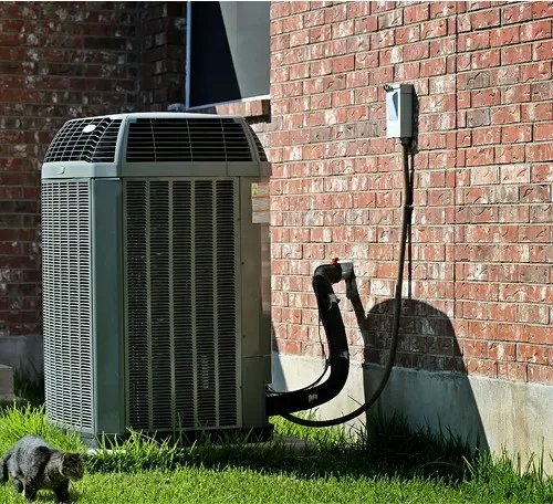 Air conditioning unit outside brick house with small animal nearby